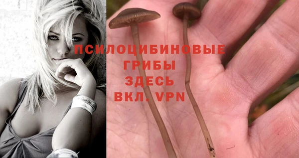 дживик Кодинск
