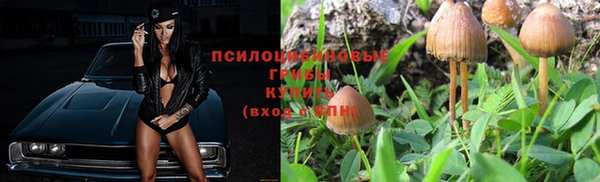 гидра Нея