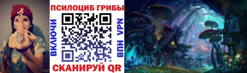 Псилоцибиновые грибы мицелий  Коркино 