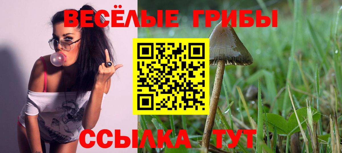 Коркино  Псилоцибиновые грибы MAGIC MUSHROOMS  Вход с VPN  Галлюциногенные грибы GOLDEN TEACHER 